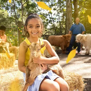 Dreamworld Country Fair Image 1