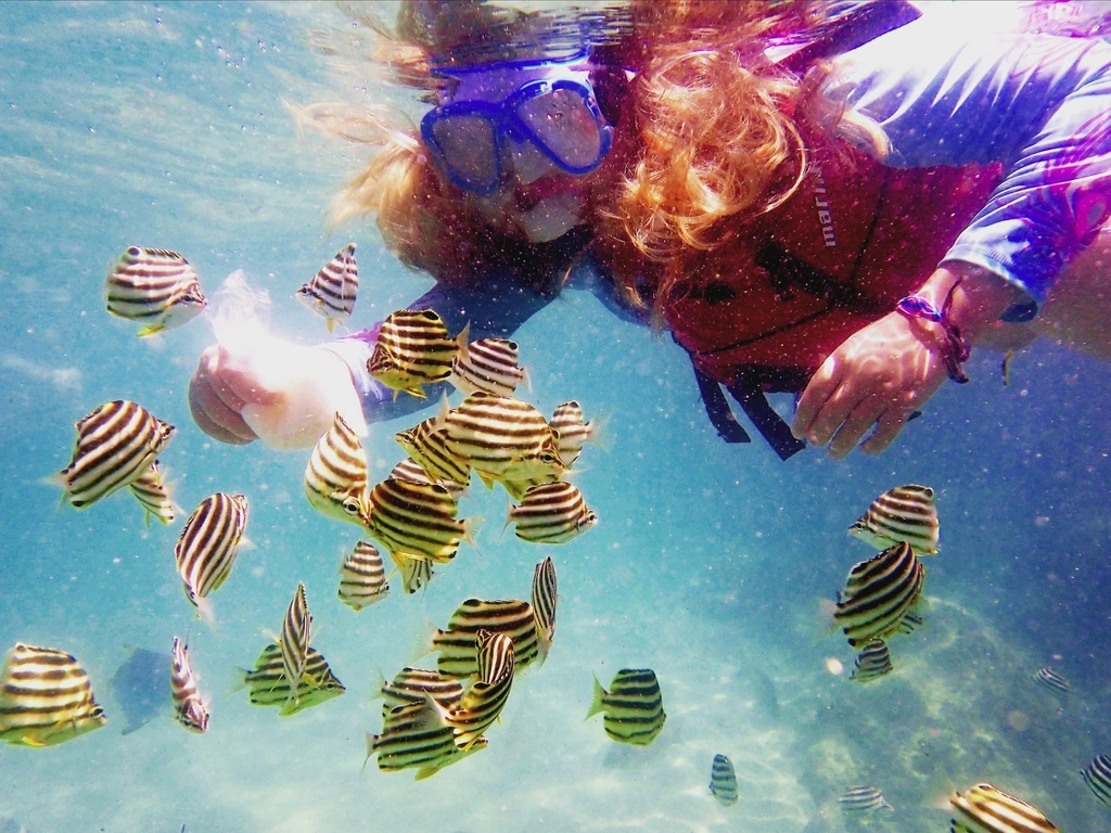 Fish feeding on the Gold Coast with seaway kayaking tours