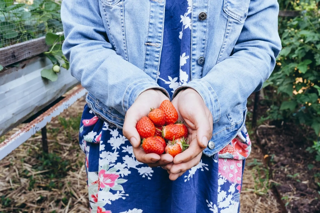 Tamborine Mtn Edible Garden Trail Image 1