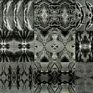 HOTA Collects: Metamorphosis Image 1