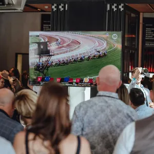 Melbourne Cup at Pig 'N' Whistle Broadbeach Image 1