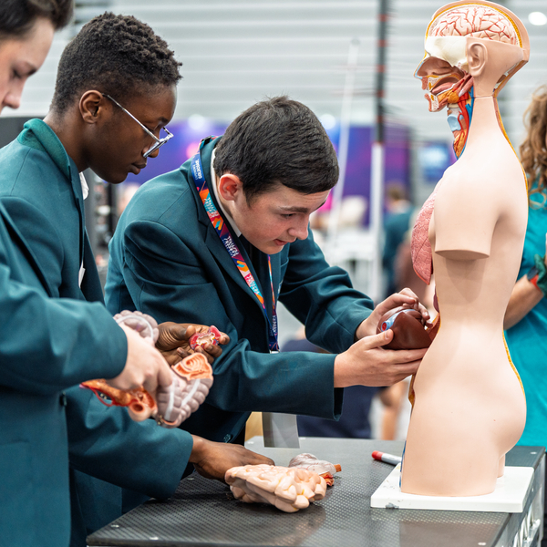 EGC Careers Festival 2026