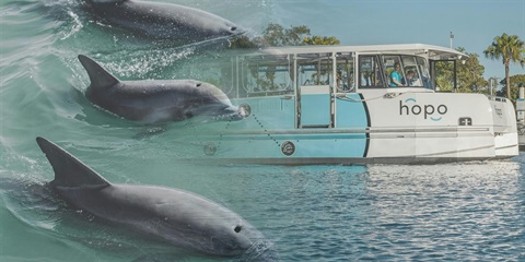 Explore the Broadwater’s Marine Life.jpg