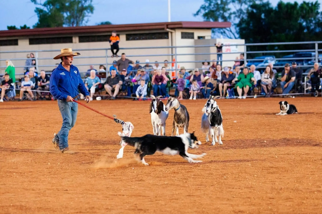 Tom Curtain's Here's to You Tour - Boonah Image 1